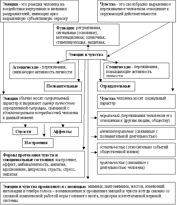 Курсовая работа по теме Эмоции как центральная функция сознания ребенка дошкольного возраста