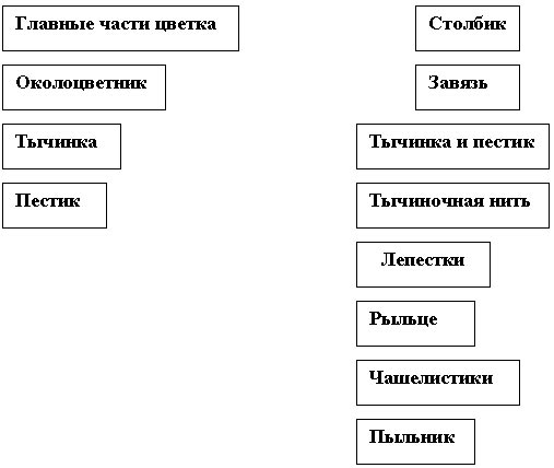 Женские носки рисунком, вязание спицами от Евгения Петранцова » Декор бутылок шпагатом и лентами: преобразите кухню с помощью необычного